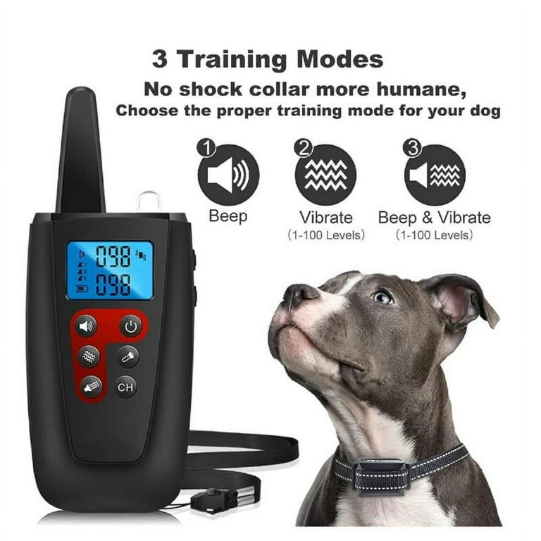 Deaf dog training collar online