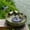 Green-solar Bird, variant on Ceramic Bird Bath for Outside on Ground, 9.45-Inch Birds Bath Bowl Only, Ground Bird Feeders and birdbath for Outdoors, Garden, Tabletop, Deck, Balcony and Lawn