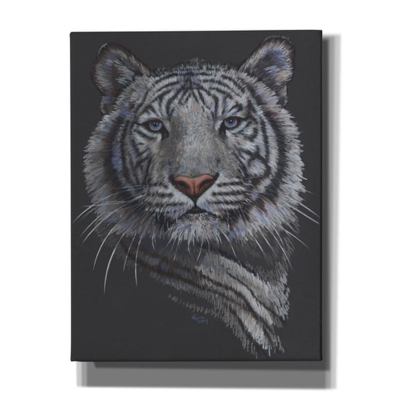 Epic Graffiti 'Spector' by Barbara Keith, Canvas Wall Art, 26"x34"