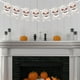 thumbnail image 5 of Decoraciones de banderines de Halloween | Set de 9 banderines colgantes de fantasmas y calaveras | Fondo y decoración de pared para fiestas temáticas de casas embrujadas, 5 of 6