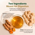 thumbnail image 3 of VAHDAM Organic Turmeric Ginger Herbal Tea, 18 Tea Bags | Ginger Turmeric Tea — Supports Healthy Digestion & Joint Health | Caffeine Free Herbal Tea, Non-GMO, Gluten-Free | Organic Tea Bags, 3 of 11