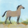 thumbnail image 2 of Green, Jacob 20x20 White Modern Wood Framed Museum Art Print Titled - Wild Pony II, 2 of 4