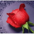 thumbnail image 2 of Abbracc 5D DIY Diamond drawing Rose Embroider Cross Stitch Craft Home Decor Red, 2 of 9