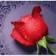 thumbnail image 2 of Pintura de Diamante Bordar Cruz Artesanal Punto Flor Rosa para Decoración Hogar Bricolaje Baoblaze Punto de cruz, 2 of 8