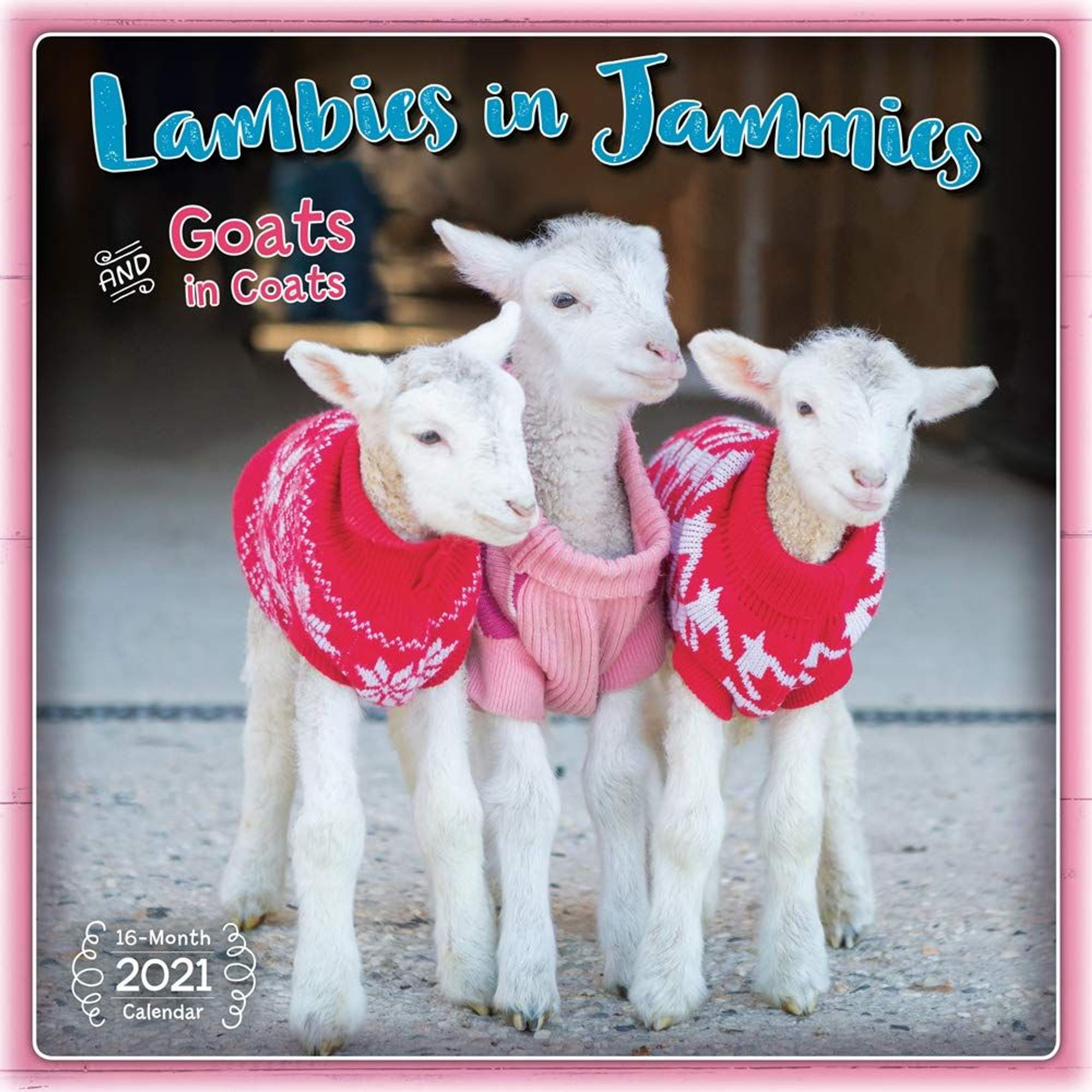 2021 Lambies in Jammies & Goats in Coats 16-Month Monthly View Wall