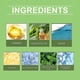 thumbnail image 3 of Herbal Cleansing Spray Set - Natural Essential Oil Cleaner 20ML Multi-Pack Option, 3 of 5
