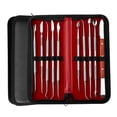 thumbnail image 4 of ZHAOCHENG Herramientas dentales, limpiador de placas raspadoras de acero inoxidable, juego de herramientas para el cuidado bucal con escáner de palillos de dientes, con estuche, 4 of 5