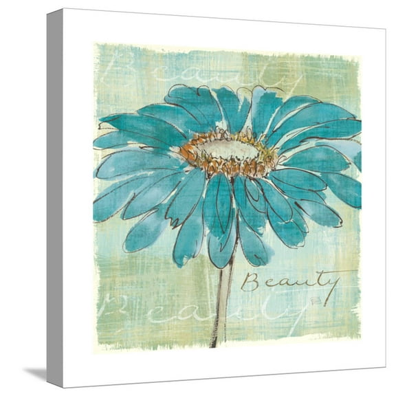 Art.com Spa Daisies I Stretched Canvas Print Wall Art by Chris Paschke, 16" x 16"