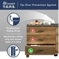 thumbnail image 5 of Sauder Rosedale Ranch Engineered Wood Dresser in Timber Oak Finish, 5 of 11