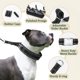 thumbnail image 5 of Collar de adiestramiento de perros Mayerzon para perros grandes y medianos, 5 of 6
