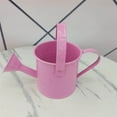 thumbnail image 3 of Watering Can Small Watering Can, 200ML Metal Watering Can for Outdoor Plants, Iron Kids Mini Watering Can for Garden Yarde Home Flower, 3 of 5