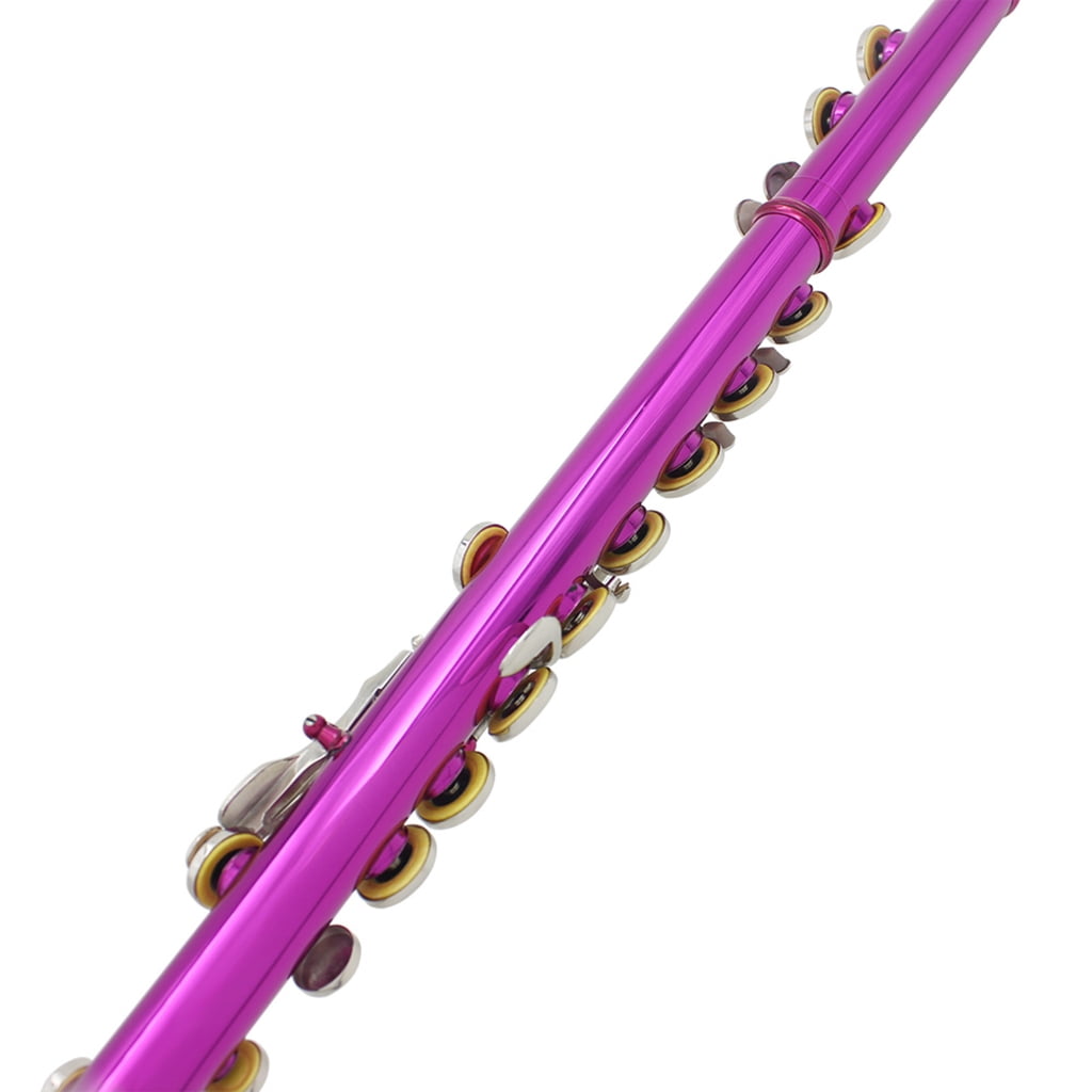 Professional Horizontal Flute With Bag Cloth Stick 16 Hole C Tone Closed Hole Flute Woodwind Instrument