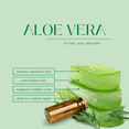 thumbnail image 3 of Aloe Vera Carrier Oil - 1 Gallon - Clear Plastic Jug w/ Cap - GreenHealth, 3 of 10