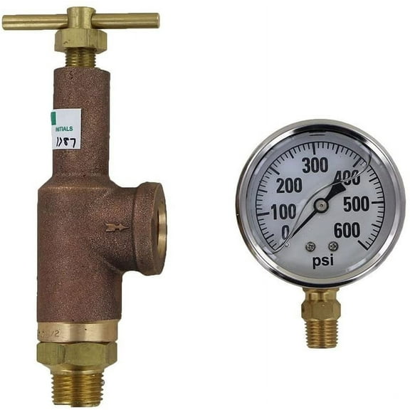 TeeJet 6815-1/2-HSS-700 Brass Pressure Regulator with 600 PSI Pressure Gauge (Bundle, 2 Items)