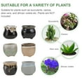 thumbnail image 6 of WHAMVOX  6 Pcs Small Plant Pot Ceramic Flowerpot Succulent Home Decoration, 6 of 8