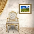 thumbnail image 3 of Bishop, Russ 32x23 Gold Ornate Wood Framed with Double Matting Museum Art Print Titled - Wine grapes at Rippon Vineyard on the shore of Lake Wanaka-Otago-South Island-New Zealand, 3 of 4