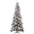 thumbnail image 1 of Vickerman 6' Épinette de Kodiak Floquée Chri Artificiel, 1 of 2