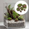 thumbnail image 4 of SeekLGT Artificial Marimo Moss Balls, Fake Aquarium Plants Decorative Bark Moss Covered Stones for Fish Tank, Desktop Ornament Plant Wall Decor, 12 PC, 4 of 8