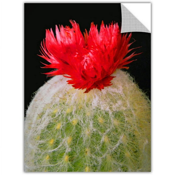 Dean Uhlinger "Velludo Cacto 2" Removable Wall Art