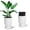 Marble White, variant on Towallmark 14.2" Planters Set of 2, Self Watering Plant Pots with Inner Bucket and Water Level Monitor, Flower Pots with Drainage Holes for Patio, Porch, Living Room, Home Office, Marble Black