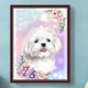 thumbnail image 3 of Pintura de diamante 5D Wdftyju DIY taladro redondo completo perro 30x40cm blanco, 3 of 9