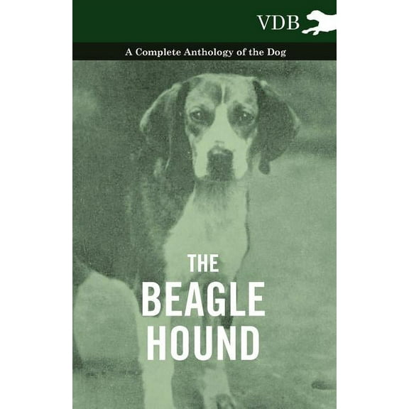The Beagle Hound - A Complete Anthology of the Dog - (Paperback)