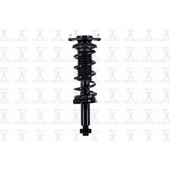 Suspension Strut and Coil Spring Assembly