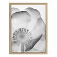 thumbnail image 2 of Kate and Laurel Blake Poppy X Ray Floral 2 BW Framed Printed Glass Wall Art by The Creative Bunch Studio, 18x24 Natural, Decorative Modern Flower Art Print for Wall, 2 of 6