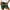 Green 17013, variant on OWMEOT Plus Size Shorts for Women 5 Inch Printed Wide Leg Shorts Trendy Baggy Drawstring Beach Shorts Travel Vacation Shorts