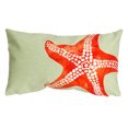 thumbnail image 1 of Liora Manne Visions II Coussin d'Accent Intérieur Extérieur, Étoile de Mer, 12 x 20 Pouces, 1 of 4