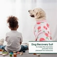 thumbnail image 5 of HQREA Pet Recovery Suit for Dogs Cat After Surgery, Prevent Licking Dog Abdominal Wounds Bandages, 5 of 6