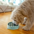 thumbnail image 6 of Outward Hound Medium Slow Feeder Bowl, Puzzle Maze for Fast Eaters, Small to Medium Dogs, Helps Prevent Bloat & Aid Digestion, Holds 2 Cups Wet or Dry Food, Non-Slip, Made Without BPA, Sage, 6 of 6