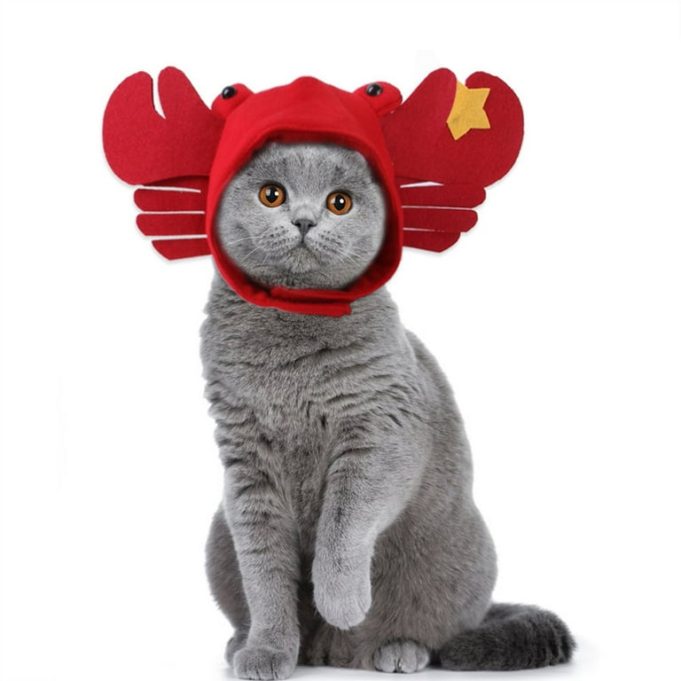 cat in a hat dress up Adult Dr. Seuss the Costume Head circumference Cat Costume, Cat in the