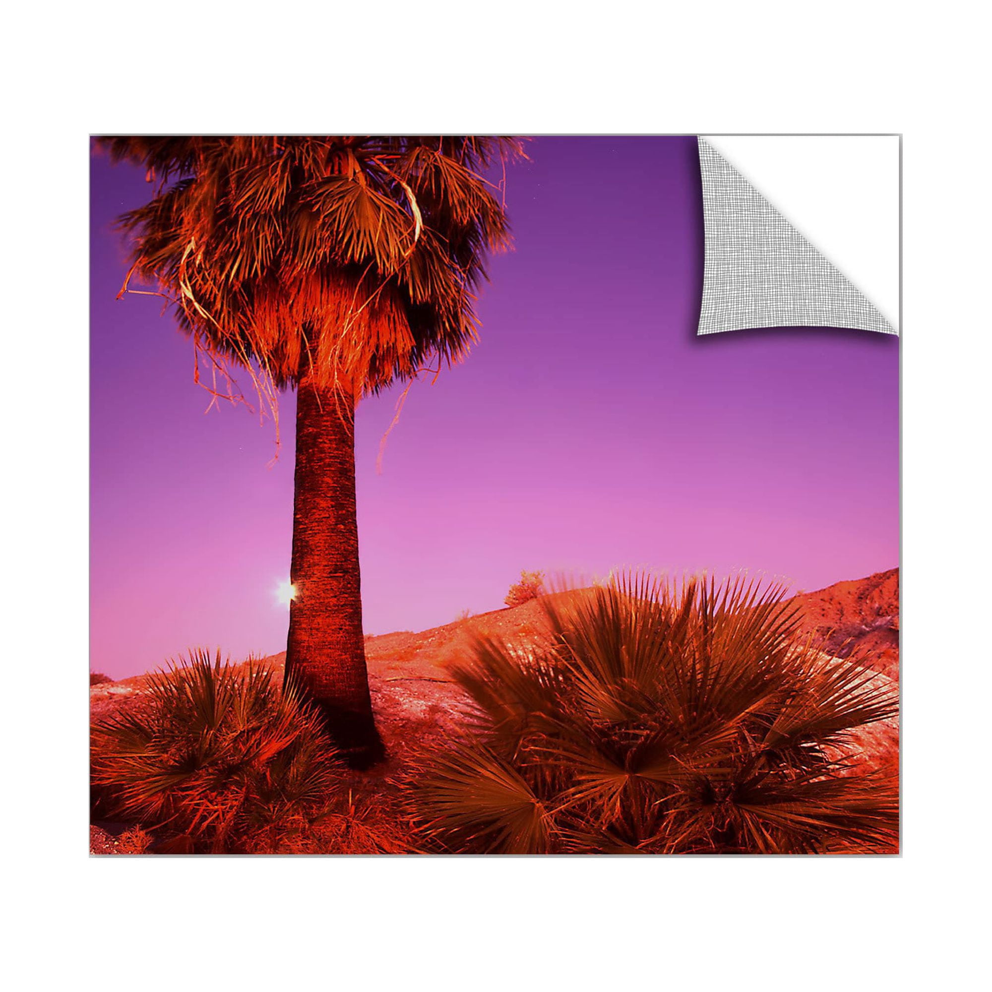 Dean Uhlinger Desert Moon , Art Appeelz Removable Wall Art Graphic