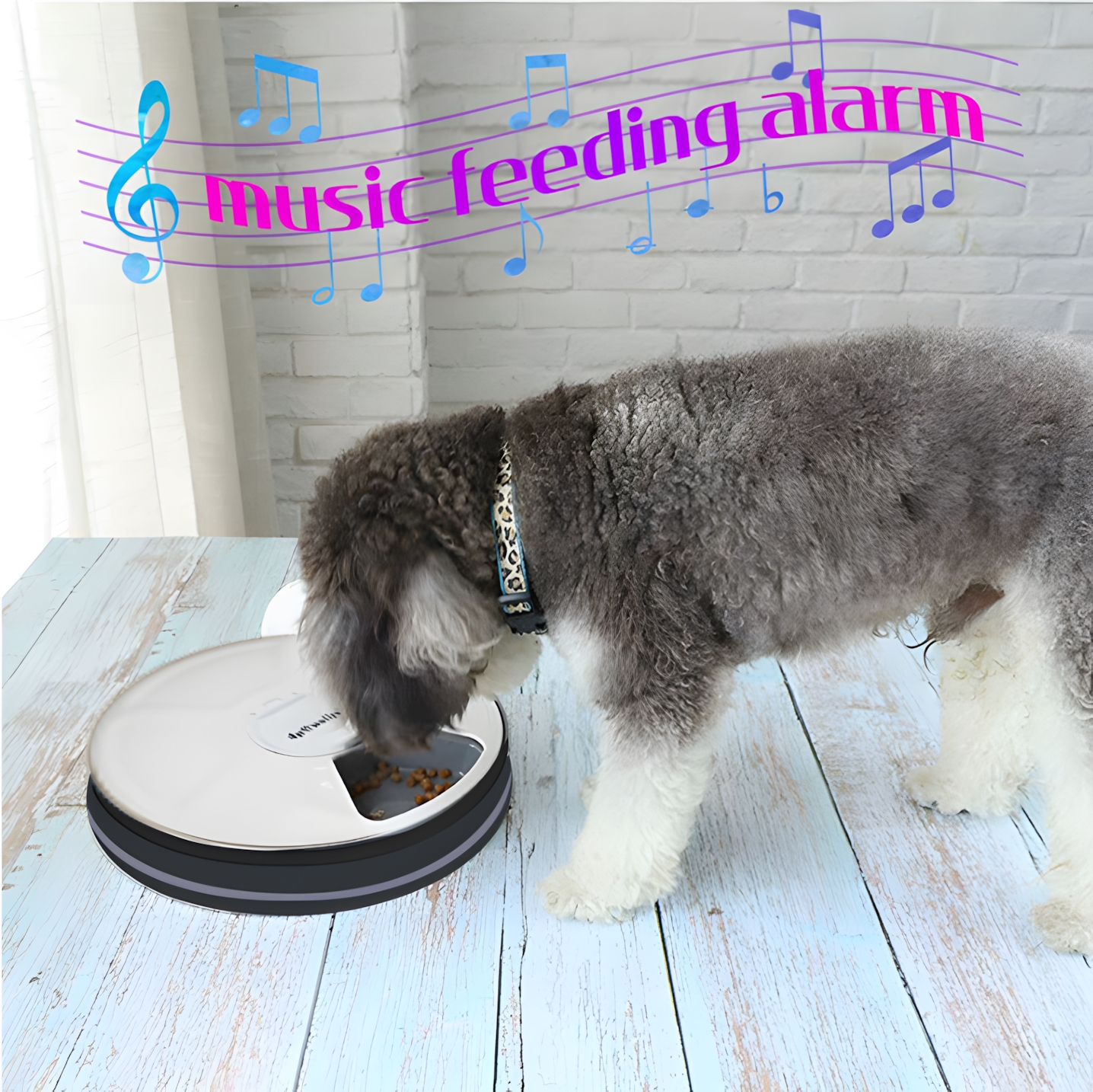 Pet Daily Kit Automatic Electronic Timed Pet Feeder, 6 Meal Trays Dry Wet Food Water Auto Feeder, 24 Hours Timing Reminder Dog and Cat Smart Feeder.