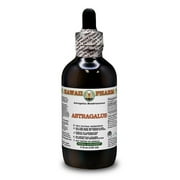 Astragalus (Astragalus Membranaceus) Dry Root ALCOHOL-FREE Liquid Extract. Expertly Extracted by Trusted HawaiiPharm Brand. Absolutely Natural. Proudly made in USA. Glycerite 4 Fl.Oz