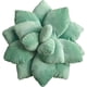 thumbnail image 1 of Almohada de cactus ZHAOCHENG 3D 45 cm, 1 of 5