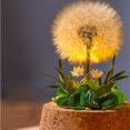 thumbnail image 4 of Natural Dandelion Real Dried Flower and Preserved Grass Eternal Flower Glass Cover, 4 of 5