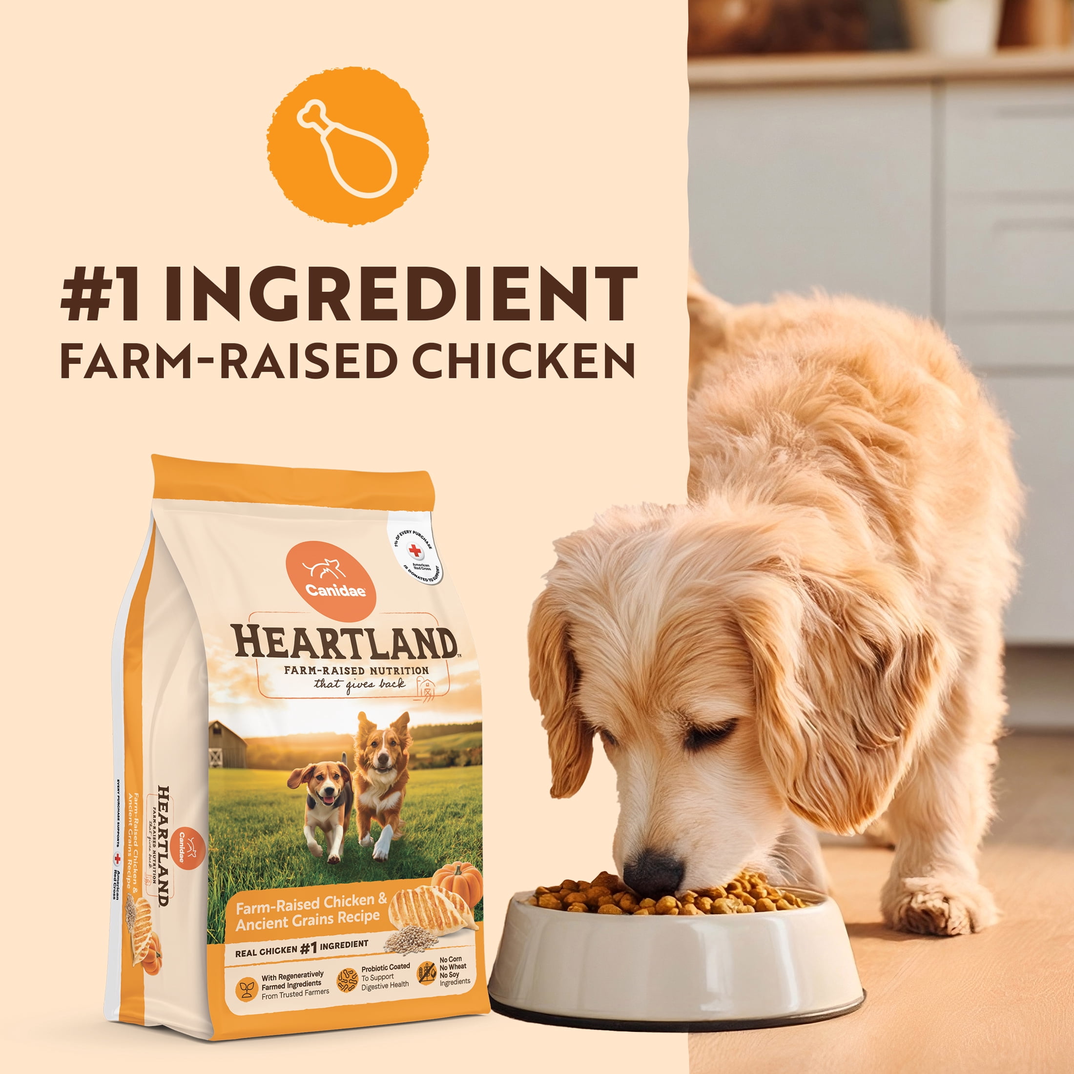 Canidae Heartland Farm-Raised Chicken & Ancient Grains Dog Food, 4 lb. Bag