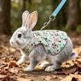 thumbnail image 5 of Rabbit Harness and Leash Set for Outdoor Training Camping Walking, Escape Proof Clothes Bunny Outfits for Rabbits, Kittens, Ferrets, Guinea Pigs (Light Green, L), 5 of 8
