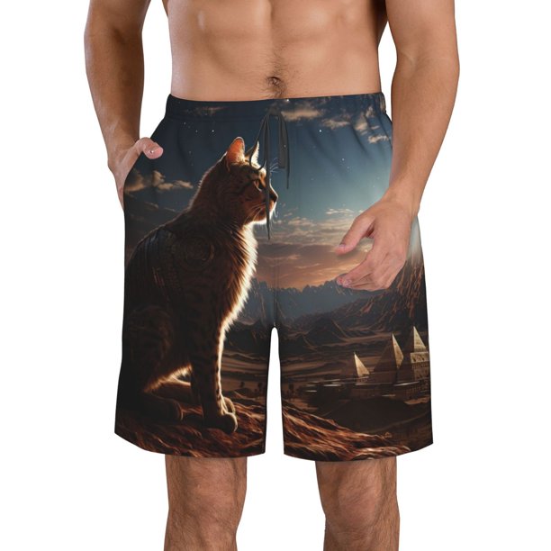 Fotbe Pyramid Desert Cat Trajes de Baño Estampados para Hombre, Shorts de Verano de Secado Rápido, Ropa de Playa, Bañadores-XX-Large