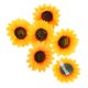 thumbnail image 1 of unbranded 6Ud Pinzas De Flor Girasol Para Con Apariencia Chic Y Estilo, 1 of 6