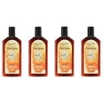 thumbnail image 3 of Agadir Argan Oil Daily Moisturizing Shampoo, 12.4oz (Pack of 4), 3 of 6