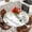 SpringGreen, variant on Watercolor Floral Round Tablecloth, Fitted Table Cover with Elastic for 36"-44" Round Tables, Spring Flowers Birds Plants Country Beige Table Cloth Outdoor Indoor Dinning Party Waterproof Tablecloths