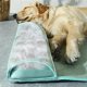 thumbnail image 4 of Estera De Enfriamiento Para Perros, Estera De Enfriamiento De Verano Para Perros Sin Pegamento, Gran Espacio Para Jugar Para Gatos, 4 of 7