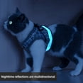 thumbnail image 5 of Jinsinto Adjustable Harness Vest Padded Reflective Soft Breathable Comfortable Leash for Small Dog Puppy (XS, Pink), 5 of 5