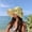 Yellow, variant on HAIJIE party hats for adults Sun Hats For Women Men Summer Wide Brim Beach Hat Outdoor Travel Casual Sun Comfortable Lightweight Roll up Visor Mens Hat with Cord Hiking Hut Women Hat Travel Beach Hat