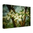 thumbnail image 3 of Trademark Fine Art Lois Bryan Painted Dogwood Canvas Wall Art - 12x19, 3 of 5