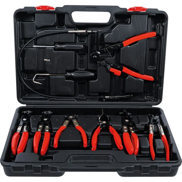 Juego de Pinzas Abrazaderas de Mangueras BGS 421 8 PZ