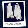 thumbnail image 2 of Boy's Beetlejuice Halloween Strange and Unusual Ghost Photo  Graphic T-Shirt, 2 of 4